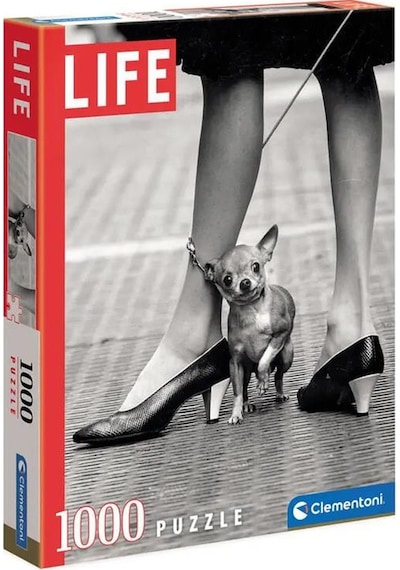 Life Chihuaua 1000 Parça Puzzle 39634 (Clementoni)