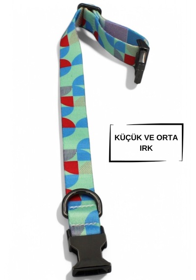 Caramelos Köpek Tasması-küçük Irk Ve Orta Irk İsimli Tasma 02 Mavi - Yeşil