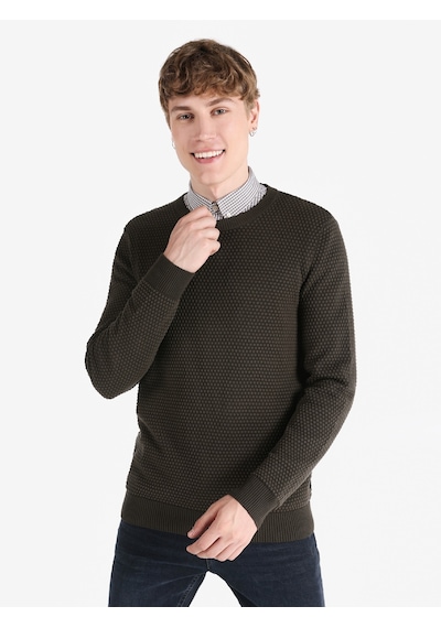 Colin's Colins Regular Fit Bisiklet Yaka Yeşil Erkek Kazak Cl1065803 Haki