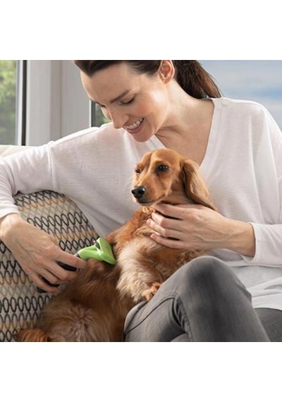 Bay Kedi Ve Köpekler İçin Uzun Tüylü Köpek Tarağı Tüy Toplayıcı Tarak Small Bx40 Najmaddin