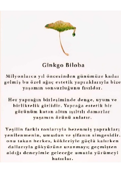 Gül, Lotus, Lale, Çiçek Broşları Renkli