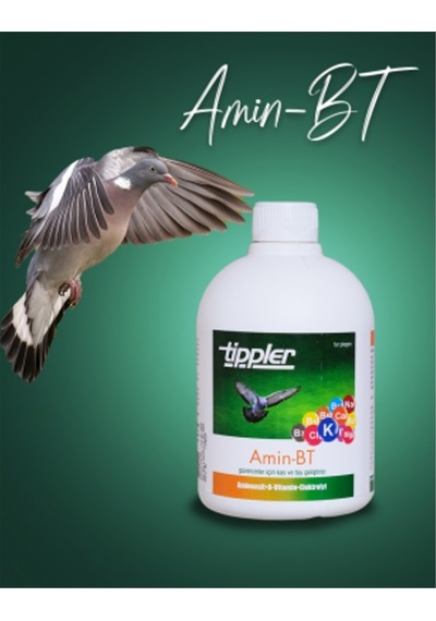 Amin Bt Güvercinler Için Kas Ve Tüy Geliştirici - 500 Ml