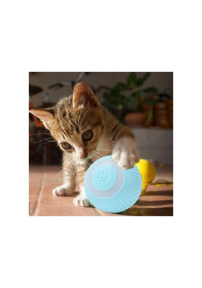 İnteraktif Kedi Köpek Şarjlı Oyun Topu - Pg2760