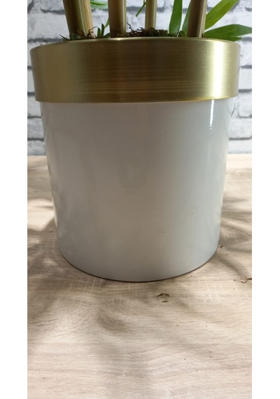 120 Cm Darbuka Saksıda Bambu 6 Dal Yeşil