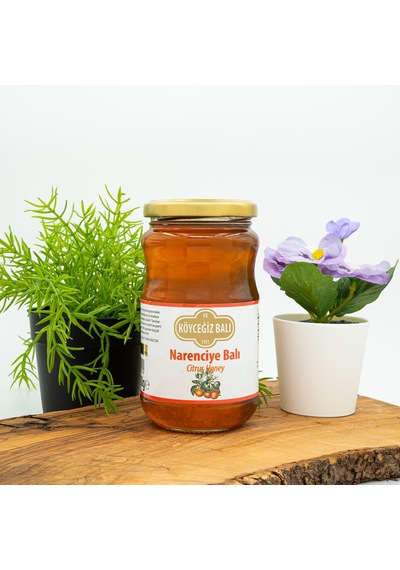 Köyceğiz Balı Narenciye Balı Cam Kavanoz 450 G