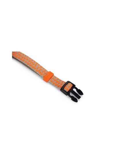 Hnrlıshp Beeztees Köpek Boyun Tasması, Açık Gri Turuncu, 35-50cm