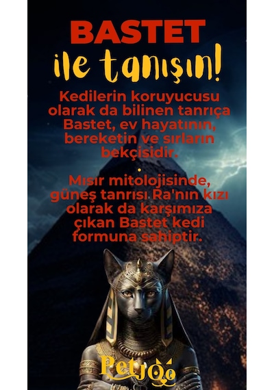 Petjoo 1.Bastet Sarı-Kırmızı Qr'lı Kedi Künyesi