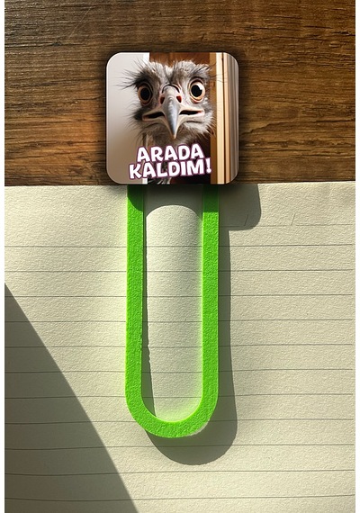 Arada Kaldım Kedi Kitap Ayracı