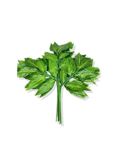 Cihan Çiçekçilik Sarı Mineli Yeşil Ceviz Demet 12 Adet 70 Cm Beyaz- Yeşil