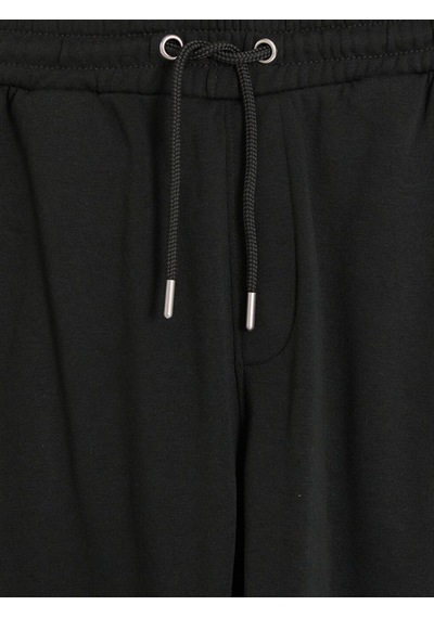 Lcwaıkıkı Classic Yeşil Regular Fit Erkek Jogger Eşofman Altı