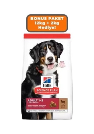 Hill's Scıence Plan Kuzulu Ve Pirinçli Büyük Irk Yetişkin Köpek Maması 12 Kg +2 Kg Hediyeli