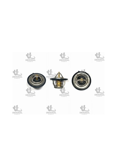 Termostat Accent Blue/i20/i30/i10/ix35/rio/sorento