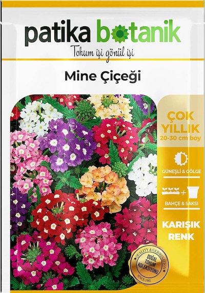 Patika Botanik 50 Adet Mine Verbena Çiçek Tohumu
