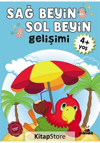 4 Yaş Sağ Beyin - Sol Beyin Gelişimi- Panda
