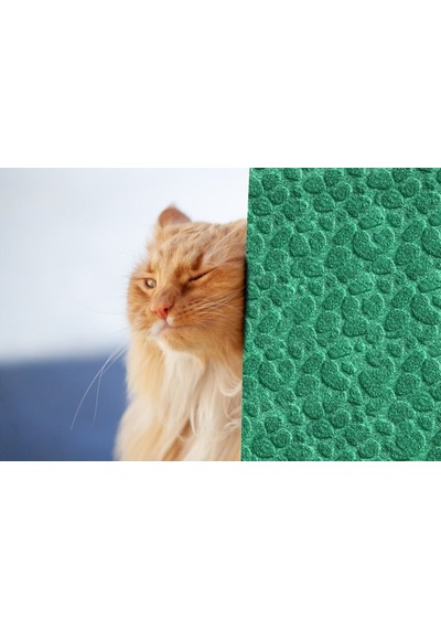 Tink 3d Kendinden Yapışkanlı Akustik Keçe Panel Leopar Desenli 52x98 Cm 10 Adet 5 M² Yeşil