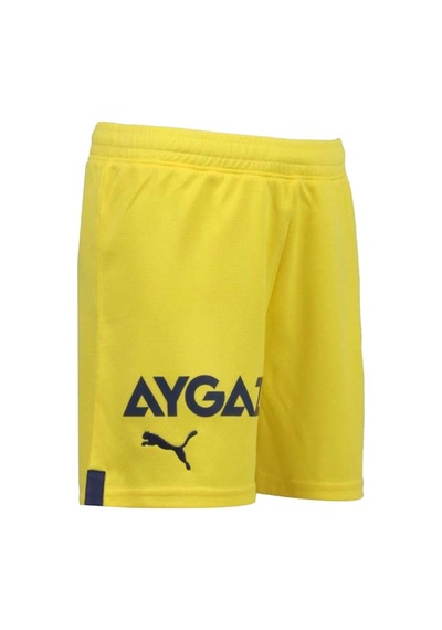 Fenerium Fenerbahçe Antrenman Çocuk T-shirt + Şort Set Kutulu 001