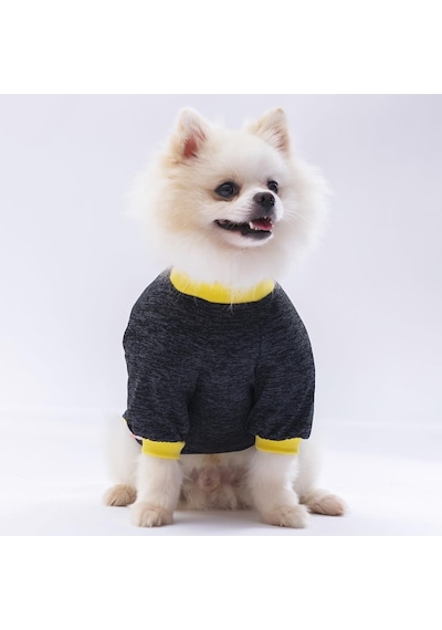Pawstar Siyah Shine Kedi Köpek Sweati Kedi Köpek Kıyafeti