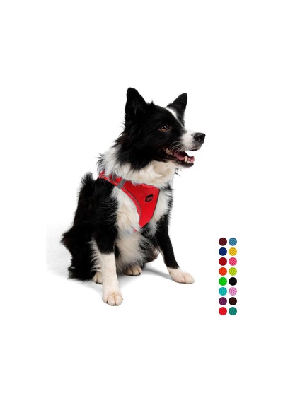 Tailpetz Air-mesh Küçük Ve Orta Irk Kedi Köpek Göğüs Tasması - Yumuşak, Nefes Alabilir, Dayanıklı Parlak Kırmızı, Xl Sku: Zeusb0clpgnzy3 Açık Bej - Bej