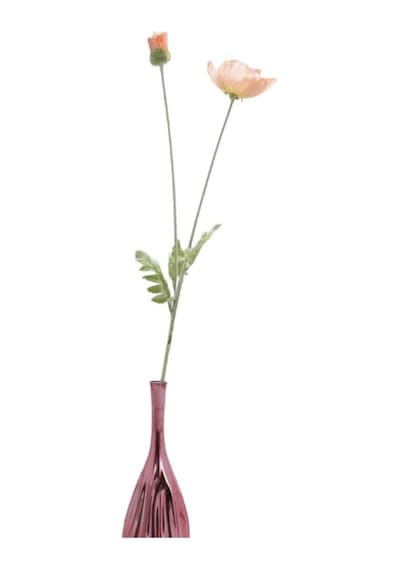 T.concept Büyük Pembe Gelincik Hanghuı-009