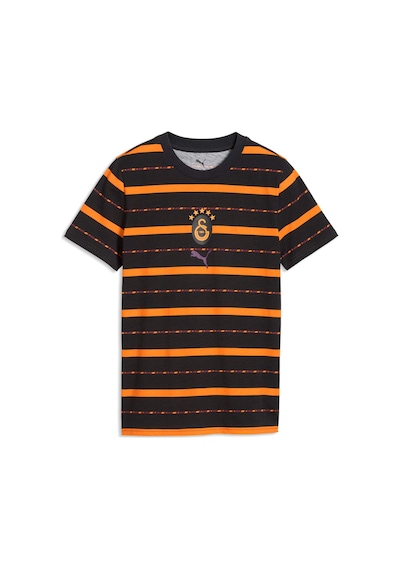 Puma Galatasaray Ftblculture Genç Tişört 786846 19 Gri