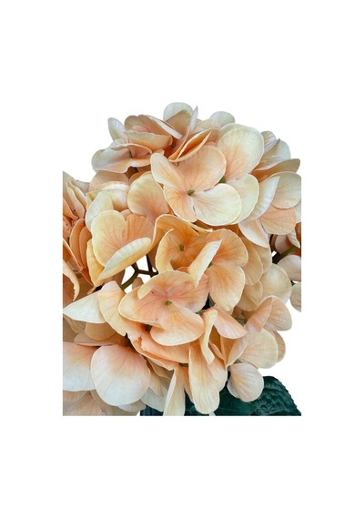 Yapay Çiçek Islak Ortanca Çiçeği Somon 45cm 5dal Islak Gerçeksi Dokulu Turuncu