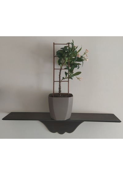 Akat Cosy Saksı Içi Dekoratif Ahşap Bitki Merdiveni 13 X 60 CM