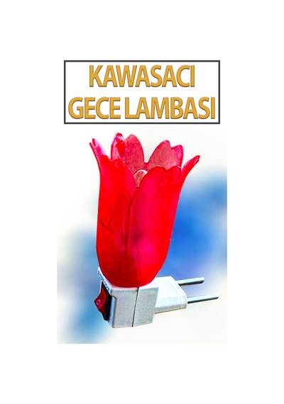 Nostaljik Gece Lambası Kendinden Fişli Çıt Çıt Anahtarlı 7 Watt Ampullü Çiçek Model Kırmızı