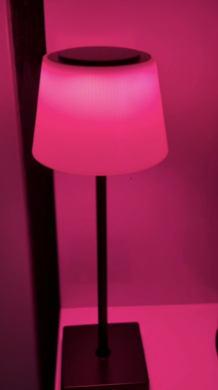 Horoz 050-006-0001 Glamor Rgb Led Masa Lambası Renkli