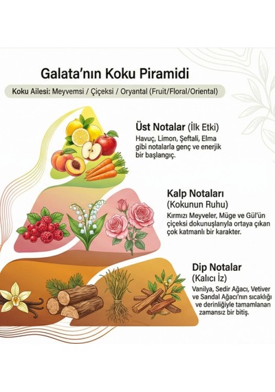 Oxi Natural Premium 80 Kolonya 220ml Cam Şişe Kutulu - Galata