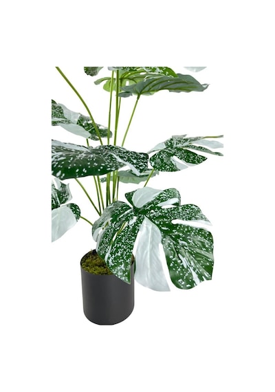 Yapay Çiçek Saksıda Monstera Yeşil Beyaz Deve Tabanı 12Dal 70cm S