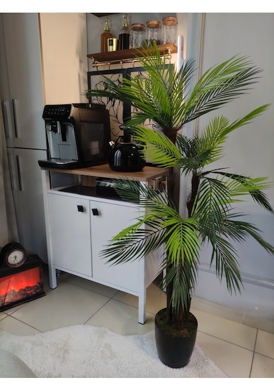 Lüks Palmiye Ağacı Salon İçin Yapay Ağaç 150 Cm 3 Gövde 27 Yaprak Siyah Parlak Saksıda