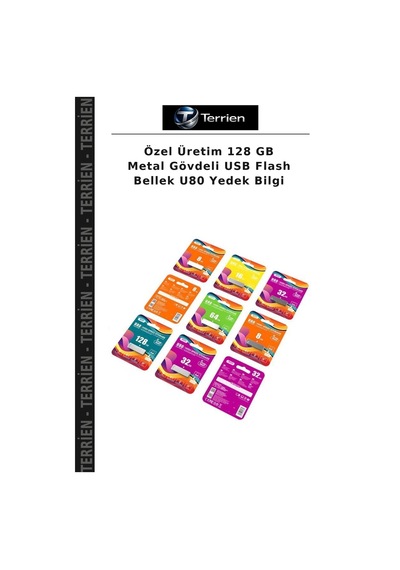 Özel Üretim 128 Gb Metal Gövdeli Usb Flash Bellek U80 Yedek Bilgi