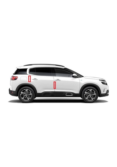 Citroen Logo C Elysee Kapı Kenarı Koruma Metalize Damla Desen 3M