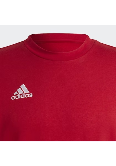 Adidas Hb0577 Ent22 Sw Top Erkek Sweatshirt renkli