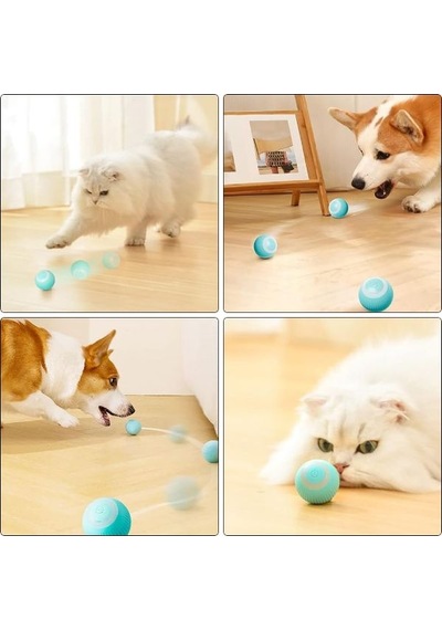 İnteraktif Kedi Köpek Şarjlı Oyun Topu Çok Renkli