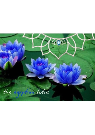 Mavi Lotus Çiçeği Tohumu & Nelumbo Tropikal Çiçek Tohumları 2 Adet Tohum