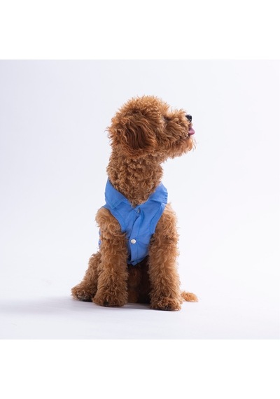 Cozie Bear Denim Ayıcık Desenli Kot Kedi Köpek Gömleği-kedi Köpek Kıyafeti-kedi Gömlek-köpek Gömlek