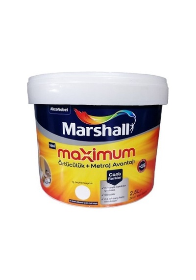 Maximum Silikonlu Ipek Mat Bw Baz Iç Cephe Boyası 2,5 Lt