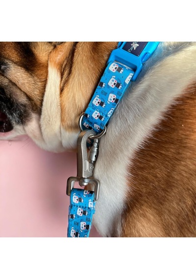 Recycled Köpek Boyun Tasması Cute L Çok Renkli