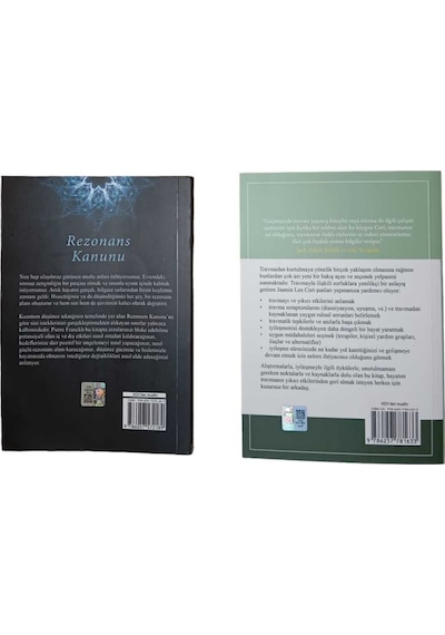 Rezonans Kanunu - Travmayı İyileştirmek