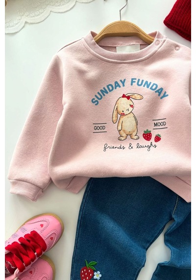 Minigimin Cicileri Tavşan Baskılı Çilek İşleme Kız Bebek Kışlık Takım - Pembe