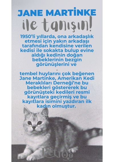 Petjoo 5.Jane Martinke Gri-Mavi Qr'lı Kedi Künyesi