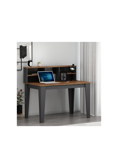 Liora Plus Antrasit Kemençe Çalışma Masası
