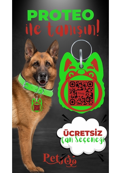 Petjoo 24.Proteo Kırmızı-Yeşil Qr'lı Köpek Künyesi