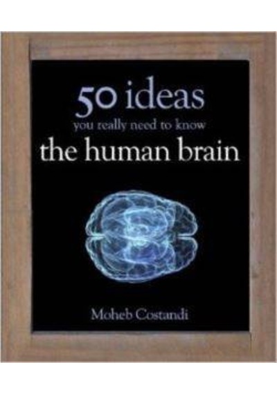 50 Human Brain Ideas You Really Need to Know (50 Ideas You Really Need to Know series) - Moheb Costandi - Quercus