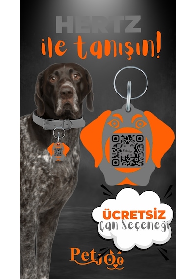 Petjoo 26.Hertz Turuncu-Gri Qr'lı Köpek Künyesi