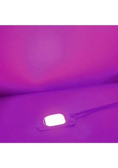 50w Tam Spektrum Bitki Yetiştirme Led Projektör Grow Light 50W Gün Işığı