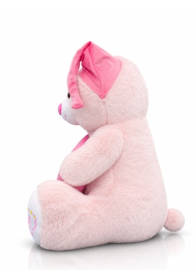 Ayıcık Şapkalı Ve Yastıklı Seri Peluş Ayıcık 60cm - Hediyelik Peluş Oyuncak 046 - Pembe