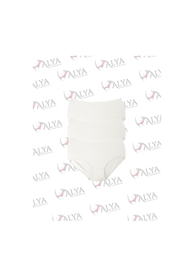Alya Underwear Kadın Battal Külot - 3 Adet Ten 5xl, 6xl, 7xl Beyaz