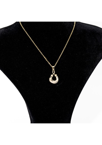 Biem 316l Çelik Zirkon Taşlı İdil Kolye Gold/gümüş